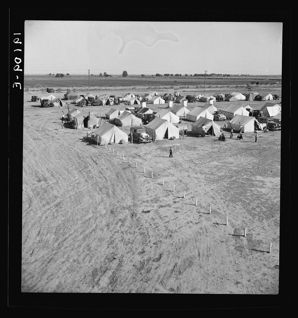 [Untitled photo, possibly related to: Farm Security Administration (FSA) migratory labor camp. Calipatria, Imperial Valley…