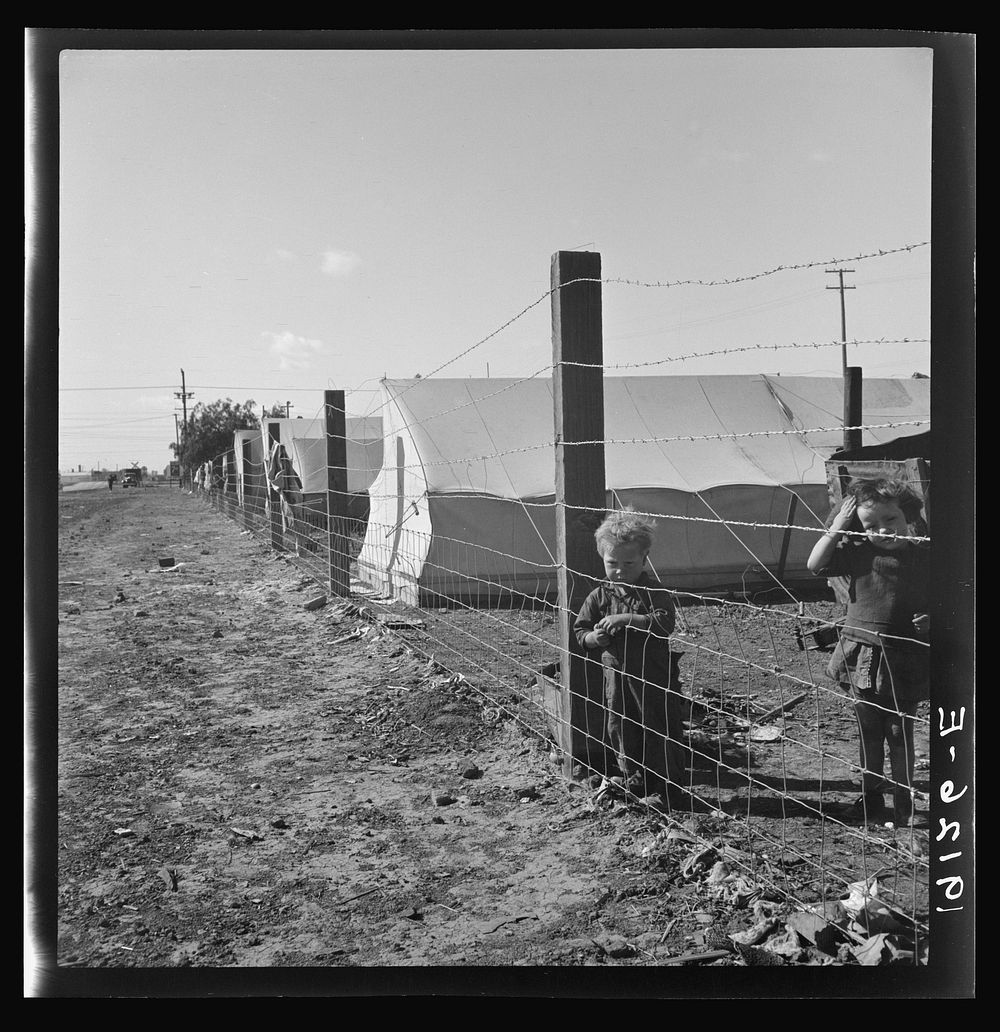 [Untitled photo, possibly related to: Living conditions for migratory children in private auto camp during pea harvest. Tent…