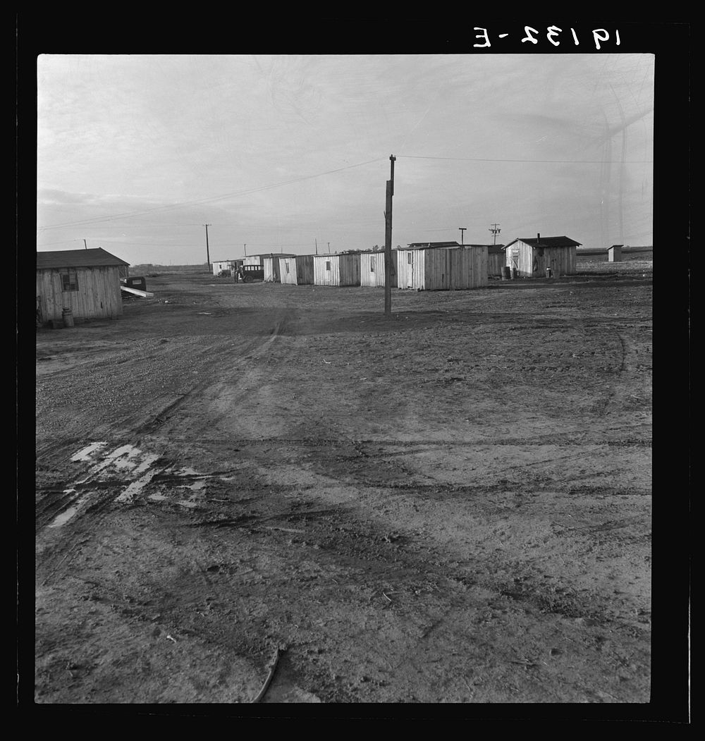 [Untitled photo, possibly related to: Same as 19051. Newly-built cabins, rent five dollars per month. California. Near…