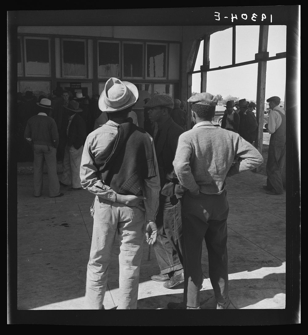 Outside the Farm Security Administration (FSA) grant office during the pea harvest. Calipatria, California. During spring of…