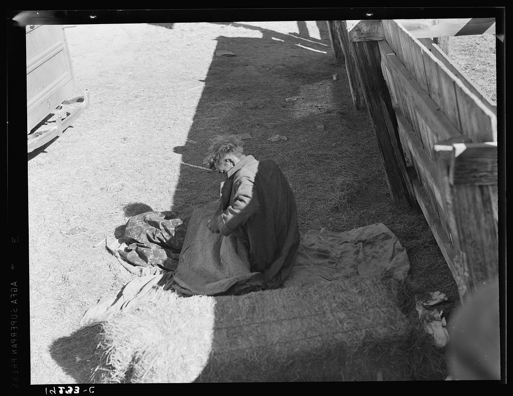Hobo wakes up early in the morning from his bed alongside a corral. Imperial Valley, California. Sourced from the Library of…