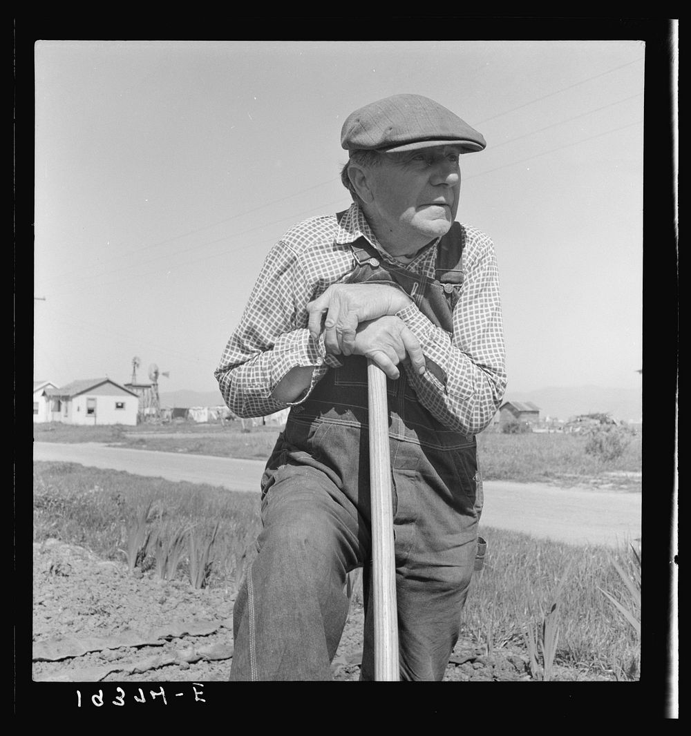 [Untitled photo, possibly related to: Farmer who has small plot in rapidly growing settlement of lettuce workers on…