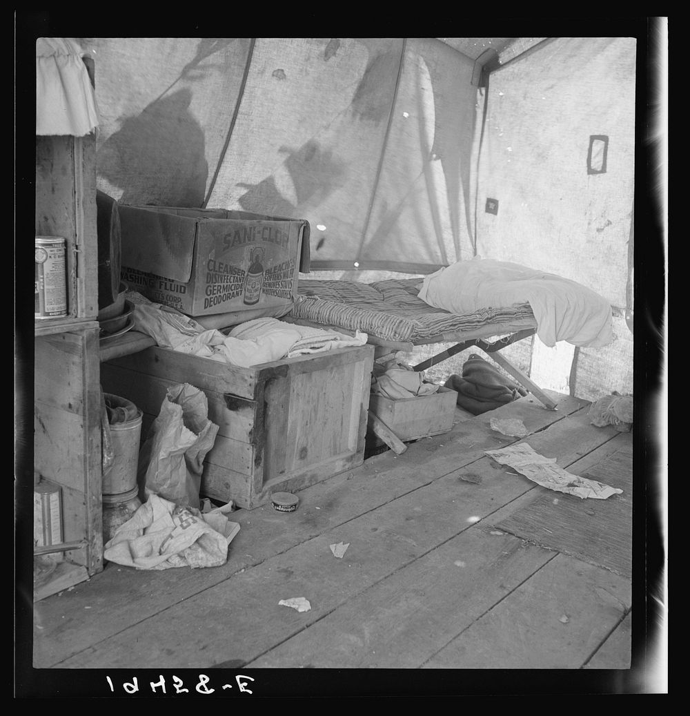 [Untitled photo, possibly related to: Tent interior in a pea pickers' camp. Food supply and household equipment. Santa Clara…