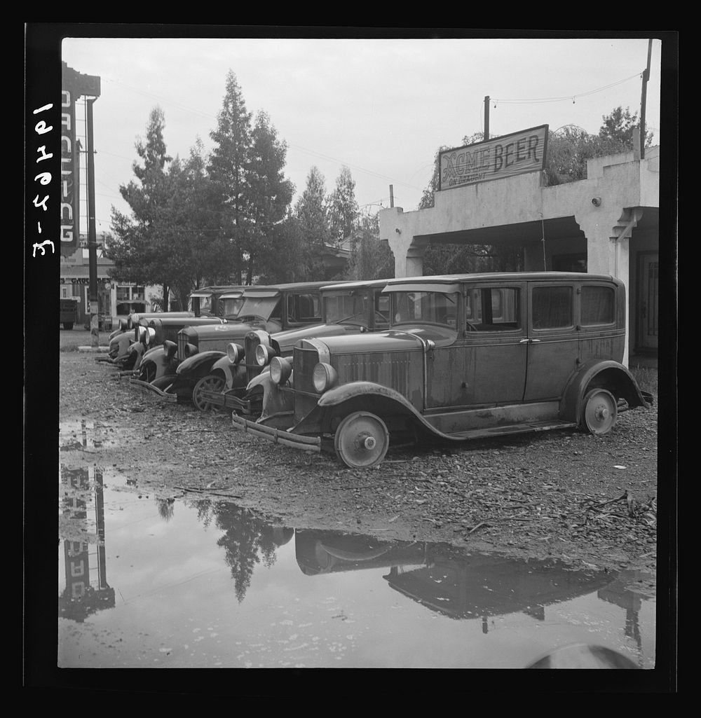 [Untitled photo, possibly related to: Roadside used car display on State Highway 17, in season when migrants come into…