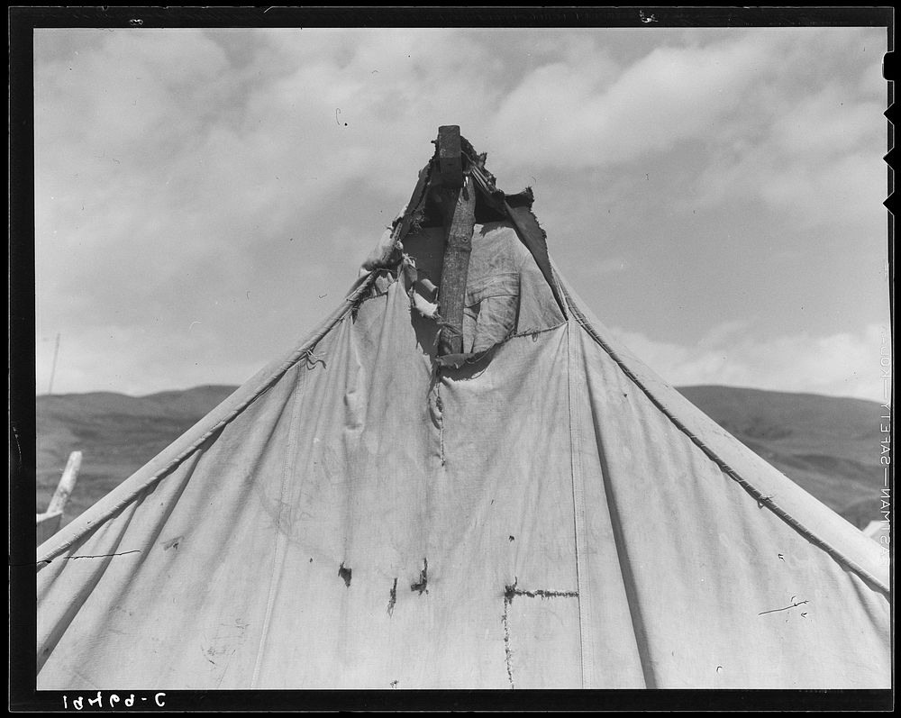[Untitled photo, possibly related to: Pea picker's tent near San Jose, California]. Sourced from the Library of Congress.