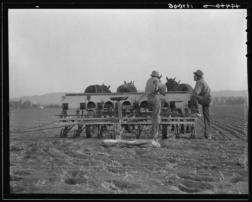Farmers talking politics. Potato fields. California. Sourced from the Library of Congress.