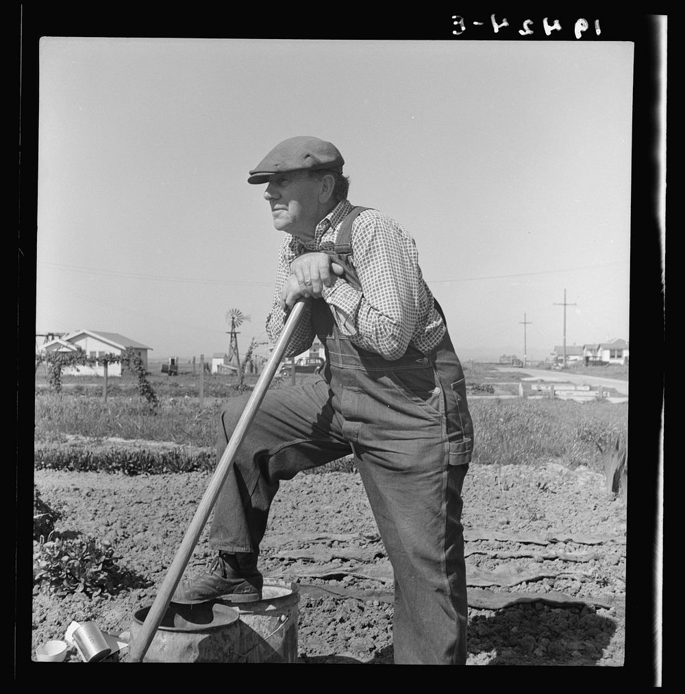 Farmer who has small plot in rapidly growing settlement of lettuce workers on outskirts of Salinas, California. Sourced from…