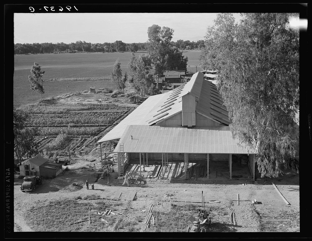 Tulare County. Mineral King Farm Cooperative Association. New barn under construction. California. Sourced from the Library…