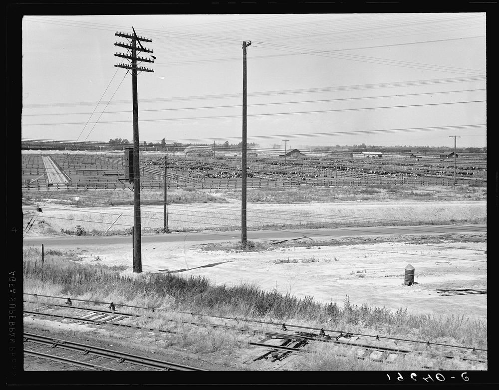 Between Tulare and Fresno. Stockyards seen from overpass. (See general caption.) California. Sourced from the Library of…