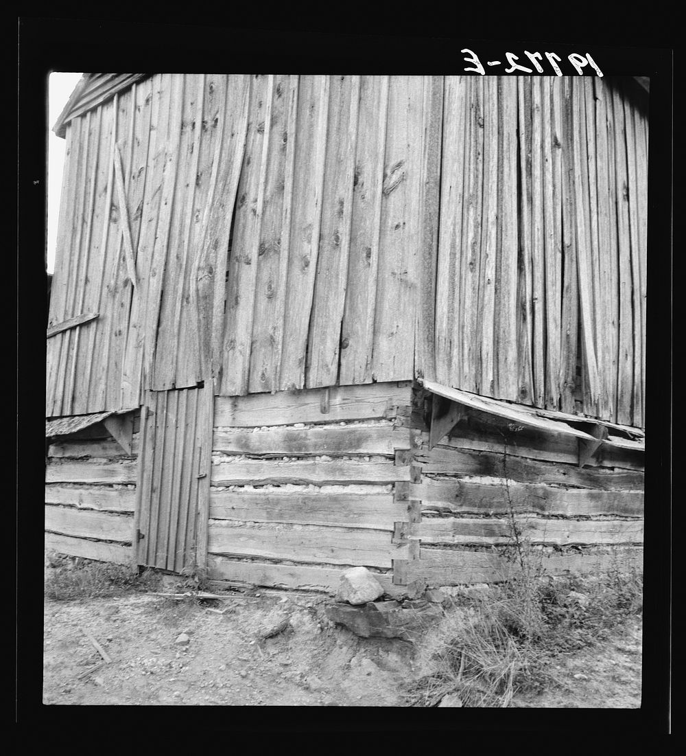 Showing construction of tobacco barn. Person County, North Carolina. Sourced from the Library of Congress.