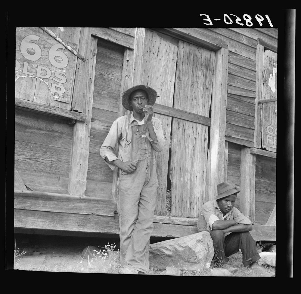 [Untitled photo, possibly related to: Tenant farmer and friend. Chatham County, North Carolina]. Sourced from the Library of…