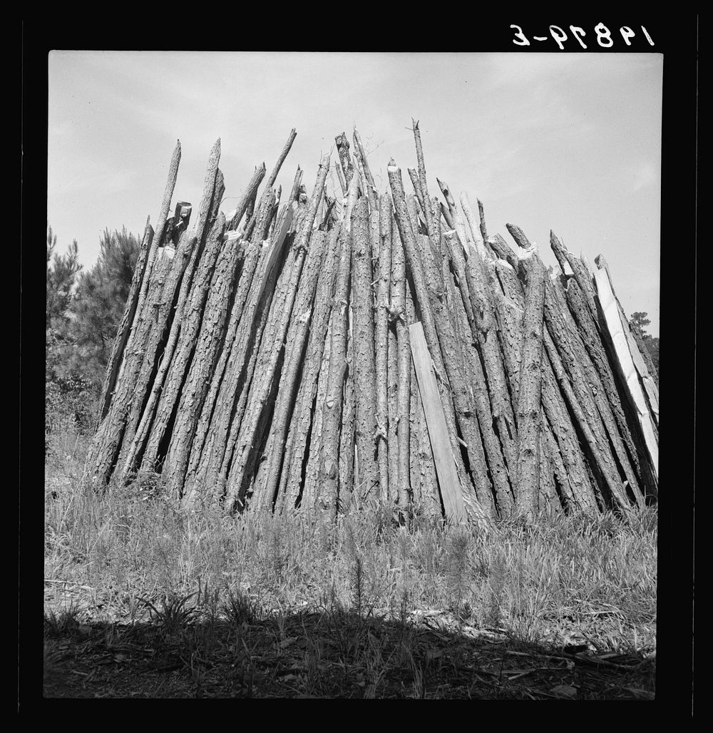 [Untitled photo, possibly related to: The old tobacco barn (new one under construction.) Note logs stacked in pile on left…
