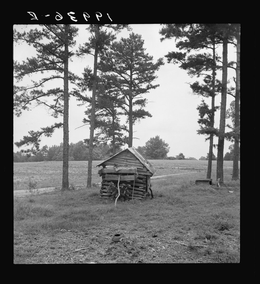 Henhouse on  tobacco farm. Note pine trees, road, field. Person County, North Carolina. Sourced from the Library of Congress.