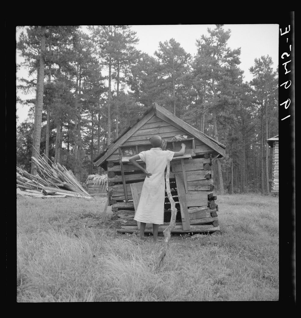 [Untitled photo, possibly related to: Tobacco sharecropper's daughter getting eggs from hen's nest in the henhouse.…