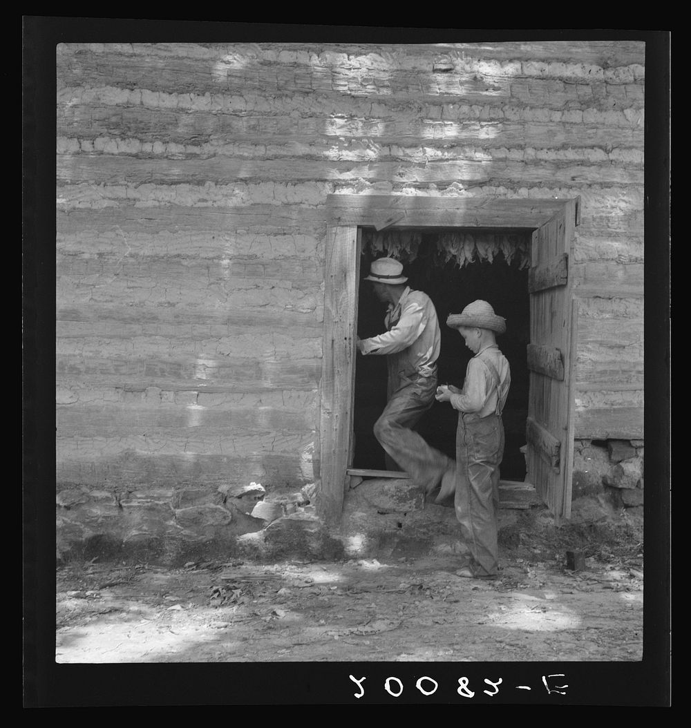 Coming out of tobacco barn in which tobacco is being cured. Careful check of temperature must be made. Granville County…