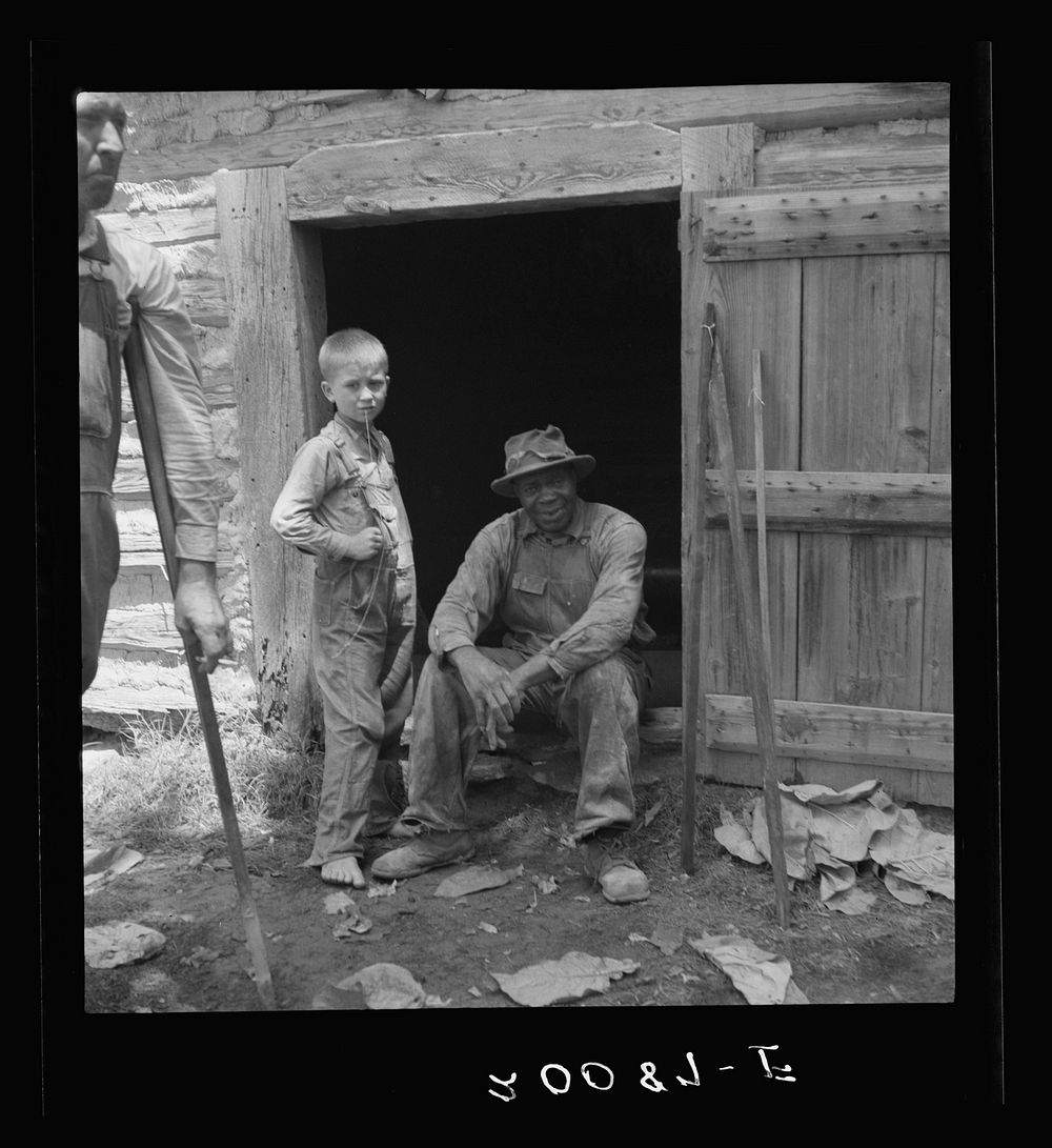 Tobacco people take it easy after their morning's work "putting up" tobacco. Granville County, North Carolina. Sourced from…
