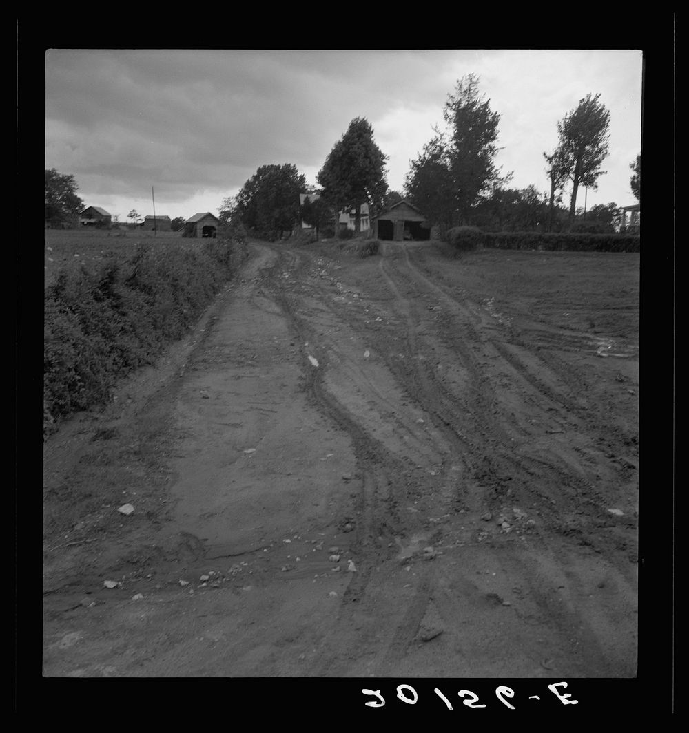 Dirt road. Earth is red-colored clay mud. Granville County, North Carolina. Sourced from the Library of Congress.