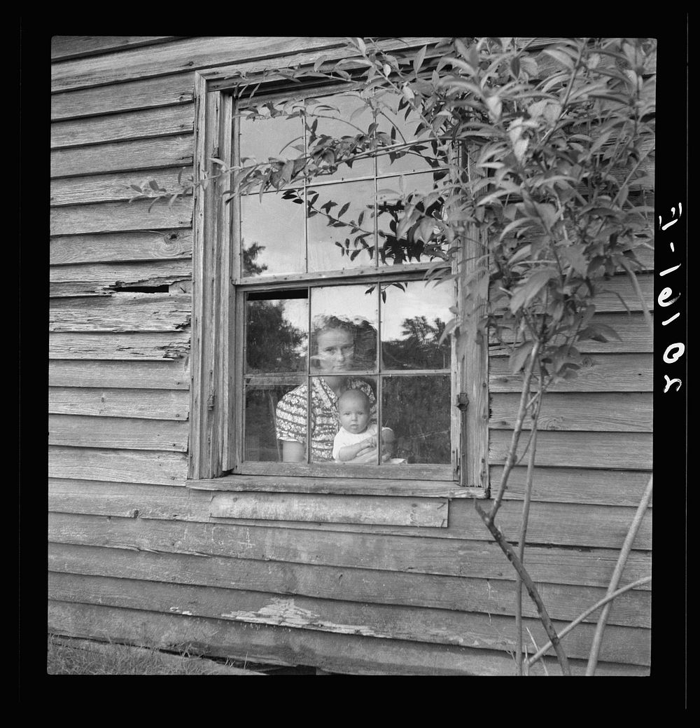 Wife and five months old baby of young tobacco sharecropper (Mr. Taylor) in window of their home. She is seventeen years…