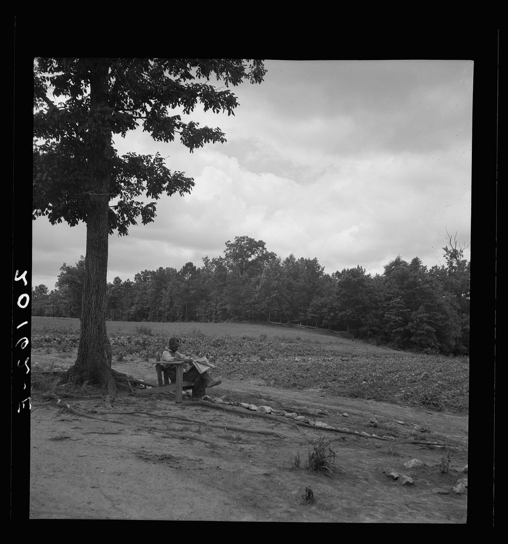  tenant farmer reading paper on a hot Saturday afternoon. Note vegetable garden across footpath. Chatham County, North…