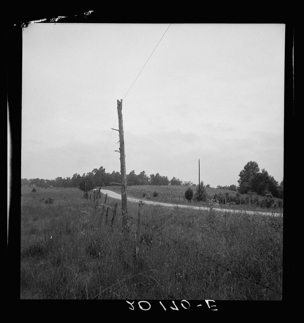 Route 501. One mile north of Bethel Hill High School, Person County.. Sourced from the Library of Congress.