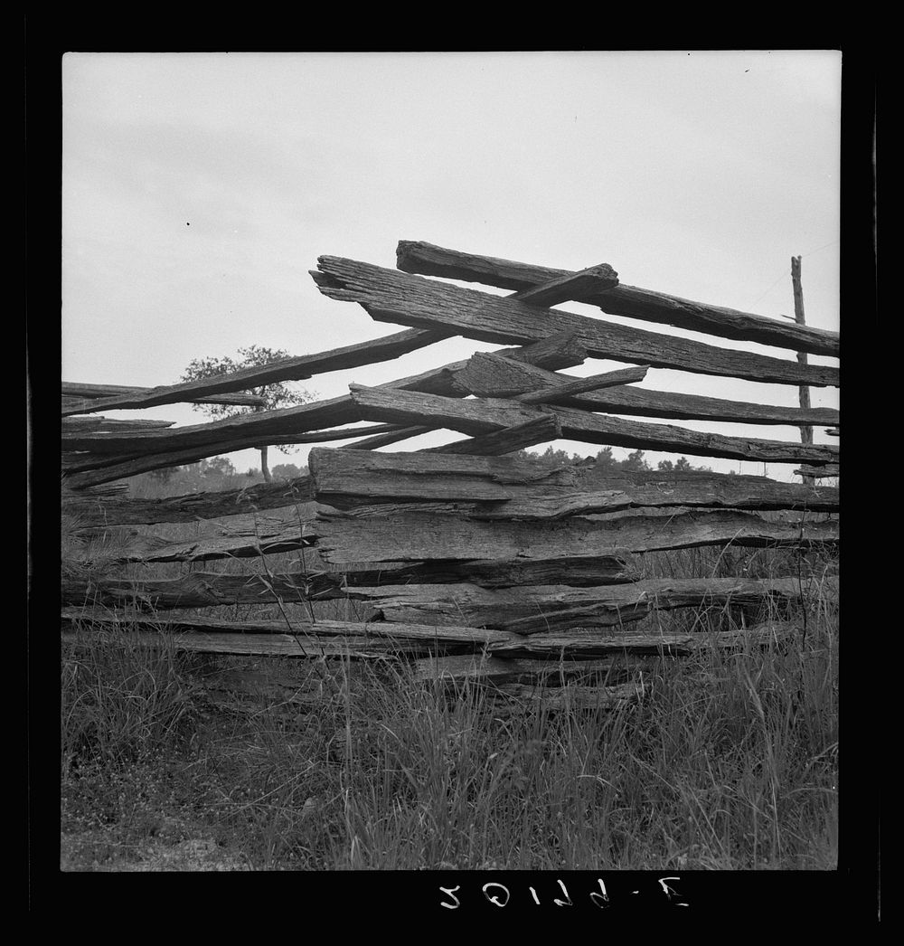 [Untitled photo, possibly related to: Construction detail of rail fence. Person County, North Carolina]. Sourced from the…