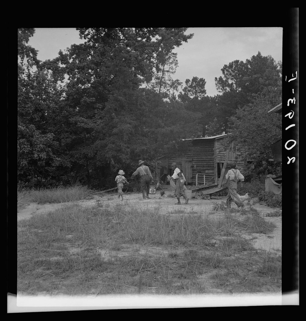 Noontime chores on  tenant farm. The grandfather and children off to feed the pigs. Granville County, North Carolina.…