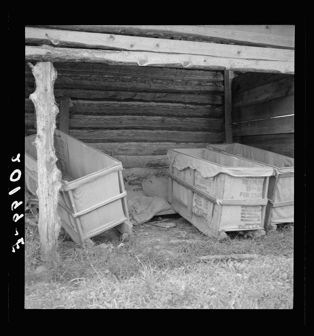 Tobacco sleds newly covered with tow sacks, ready for "putting in" the tobacco. Person County, North Carolina. Sourced from…