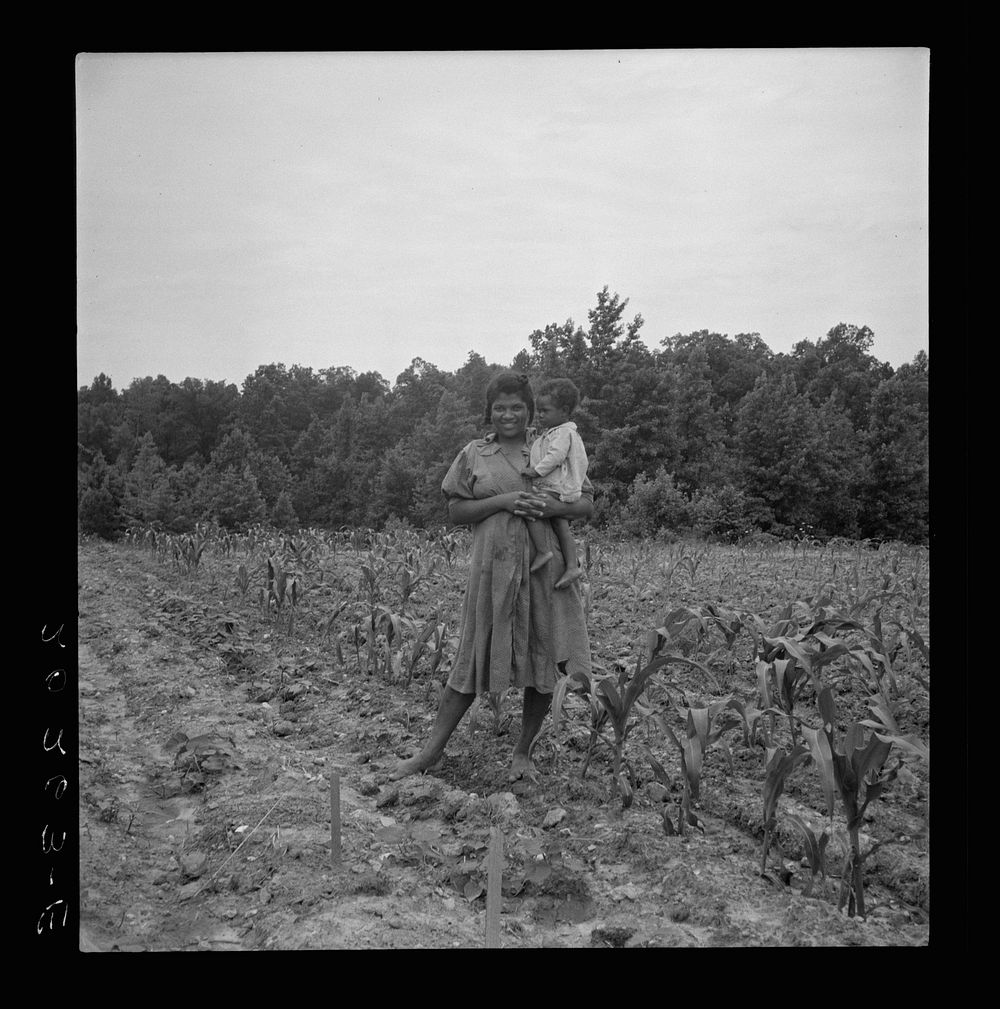 [Untitled photo, possibly related to: Wife and child of young sharecropper in cornfield beside house. Hillside Farm, Person…