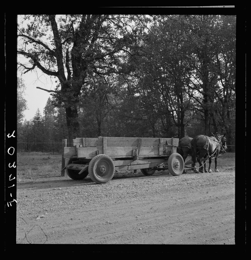 [Untitled photo, possibly related to: Logged over land along U.S. 99. Southern Oregon]. Sourced from the Library of Congress.