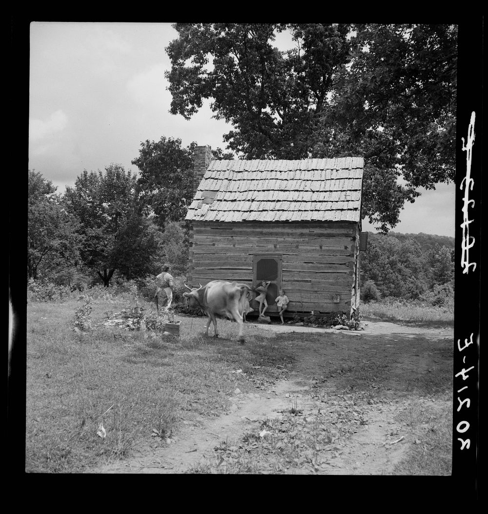 Log home of non-farm family. The father works in a chair making factory in Hillsboro. They keep a cow and a small garden.…