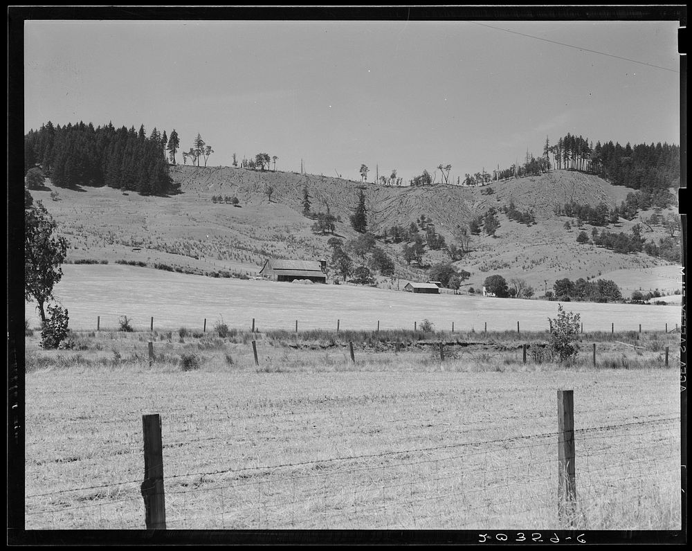 Grain farm. Note how timber has been cut from the ridge. Oregon, near Yoncalla, Douglas County. Sourced from the Library of…