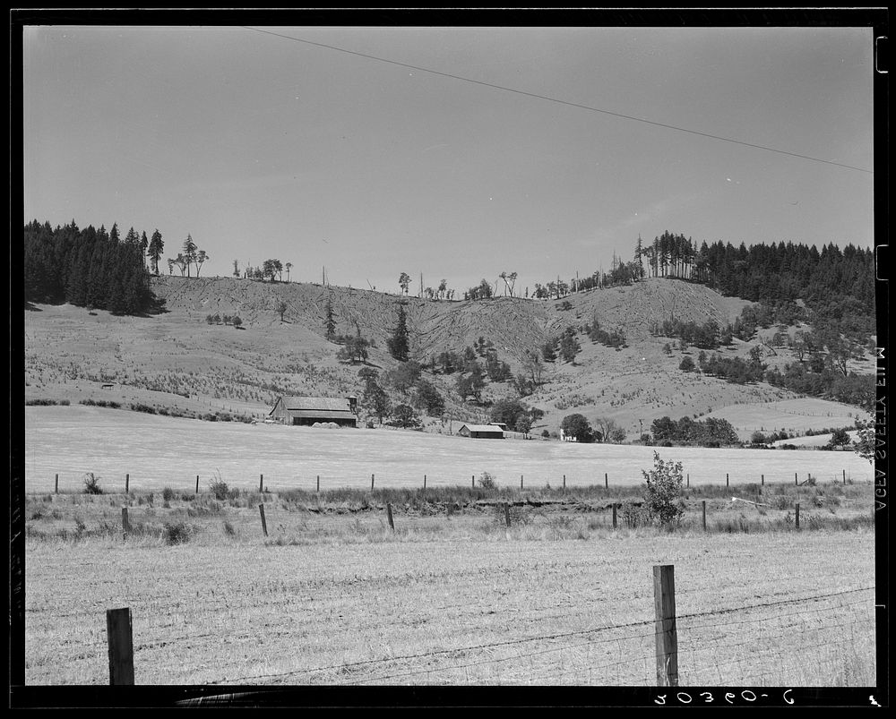 [Untitled photo, possibly related to: Grain farm. Note how timber has been cut from the ridge. Oregon, near Yoncalla…