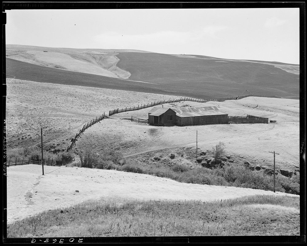 [Untitled photo, possibly related to: Desert stock farm, south central Washington, in region where much land has been…