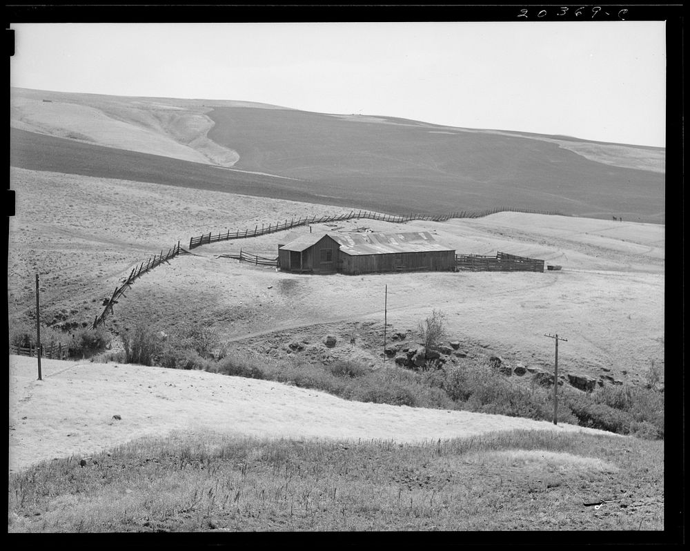 [Untitled photo, possibly related to: Desert stock farm, south central Washington, in region where much land has been…