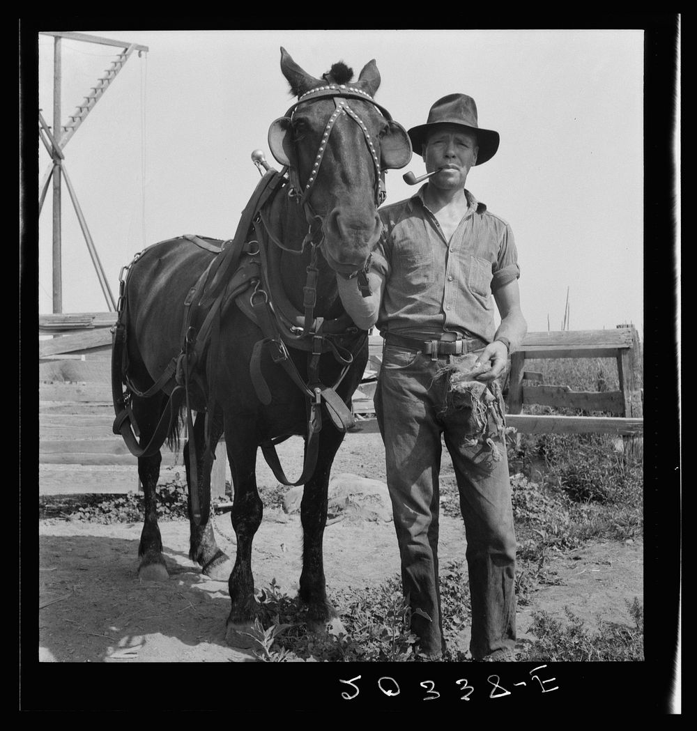 Hired man on the Myers farm. Near Outlook, Yakima County, Washington. Sourced from the Library of Congress.