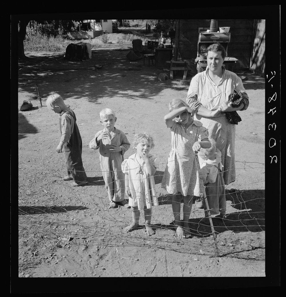 [Untitled photo, possibly related to: Family living in shacktown community, mostly from Kansas and Missouri. This family has…