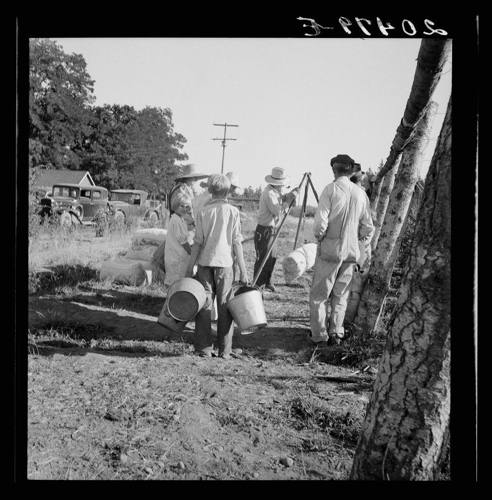 Untitled photo, possibly related to: Oregon, Marion County, near West Stayton. Weighing beans at scales on edge of field..…