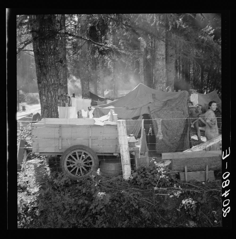 Untitled photo, possibly related to: Oregon, Marion County, near West Stayton. Large private auto camp in woods at end of…