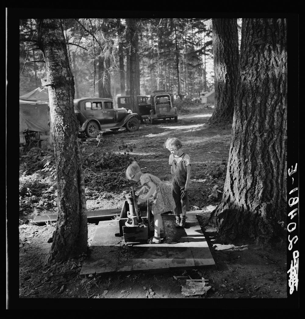 Oregon, Marion County, near West Stayton. Children in large private bean pickers camp. Pickers came from many states, from…