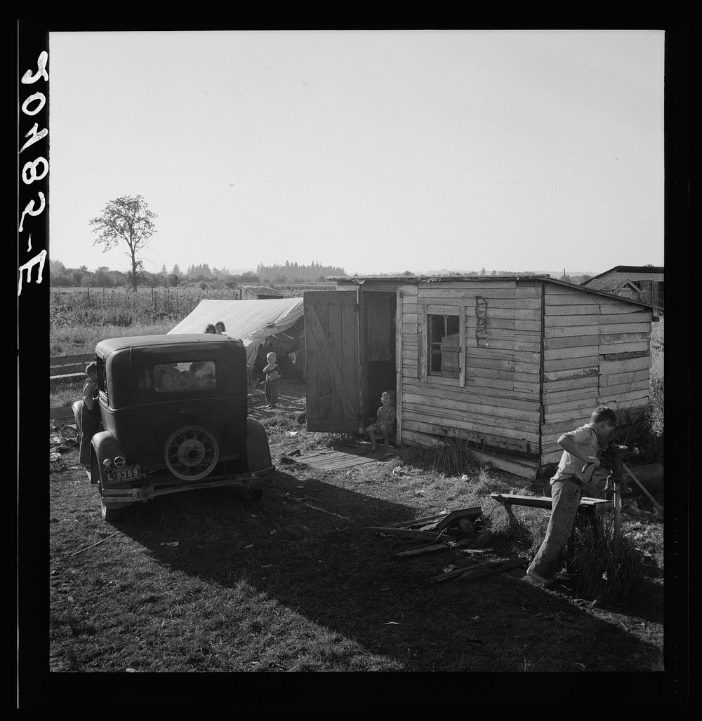 [Untitled photo, possibly related to: Oregon, Marion County, near West Stayton. Bean pickers' children in camp at end of…