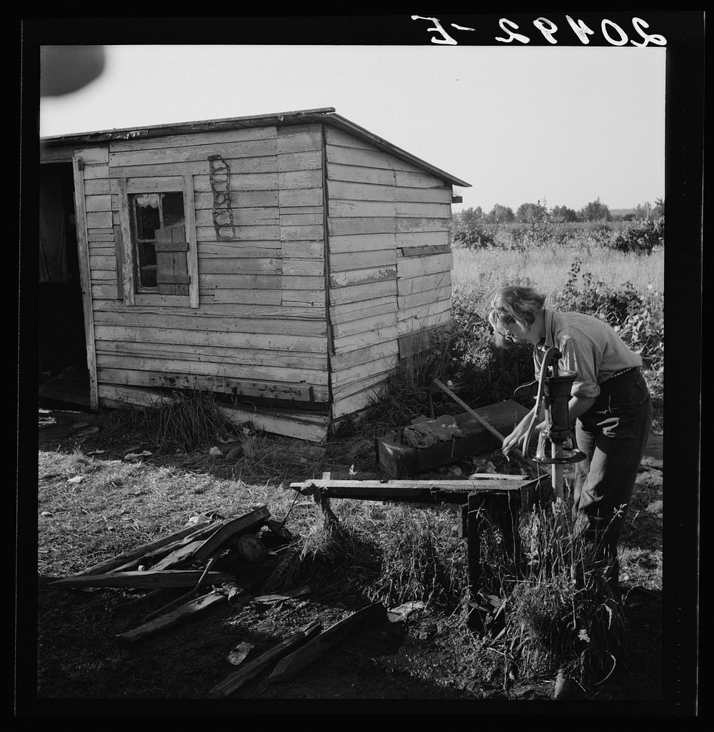 [Untitled photo, possibly related to: Oregon, Marion County, near West Stayton. Bean pickers' children in camp at end of…