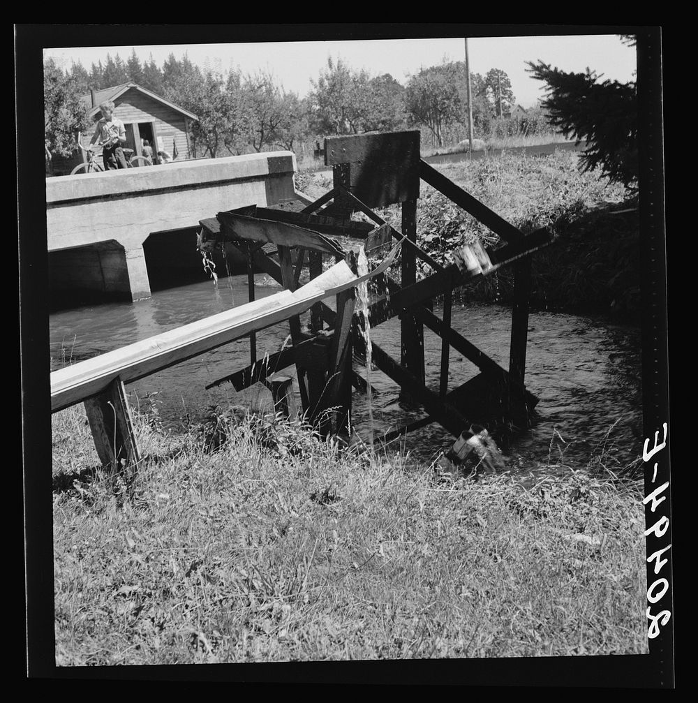 [Untitled photo, possibly related to: Oregon, Marion County, north of West Stayton. Waterwheel for field irrigation in the…