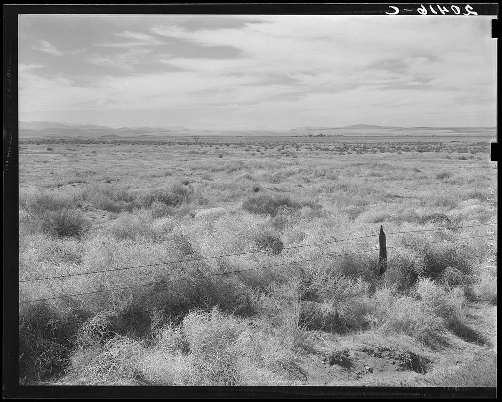 Washington, Grant County, north of Quincy. Abandoned farmland in the Columbia Basin. Sourced from the Library of Congress.