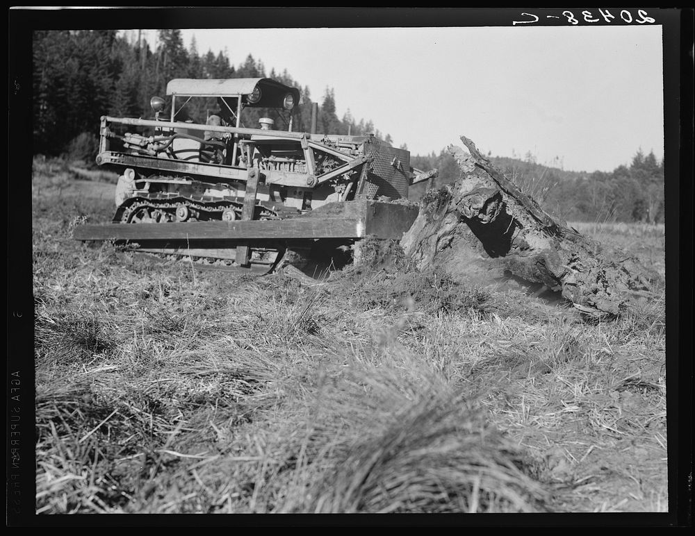 [Untitled photo, possibly related to: Western Washington, Lewis County. Bulldozer raises and pushes stump on cut-over farm].…