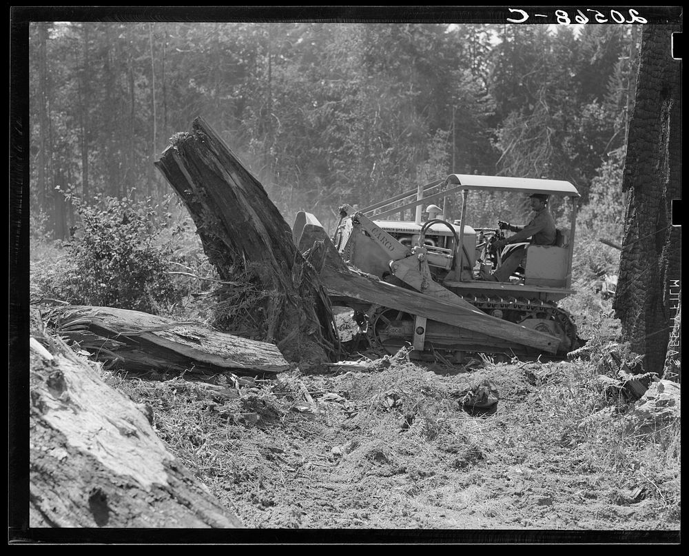 Loosening and pushing a big stump on Nieman place. Western Washington, Lewis County, near Vader, Washington.. Sourced from…