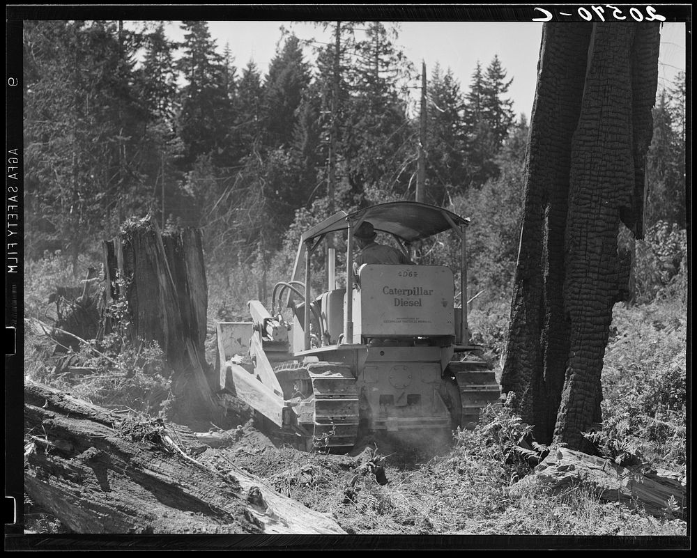 Bulldozer in operation on the Nieman place. Western Washington, Lewis County, near Vader, Washington.. Sourced from the…