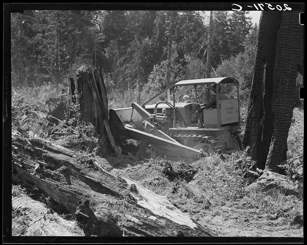 Bulldozer in operation on the Nieman place. Western Washington, Lewis County, near Vader, Washington.. Sourced from the…