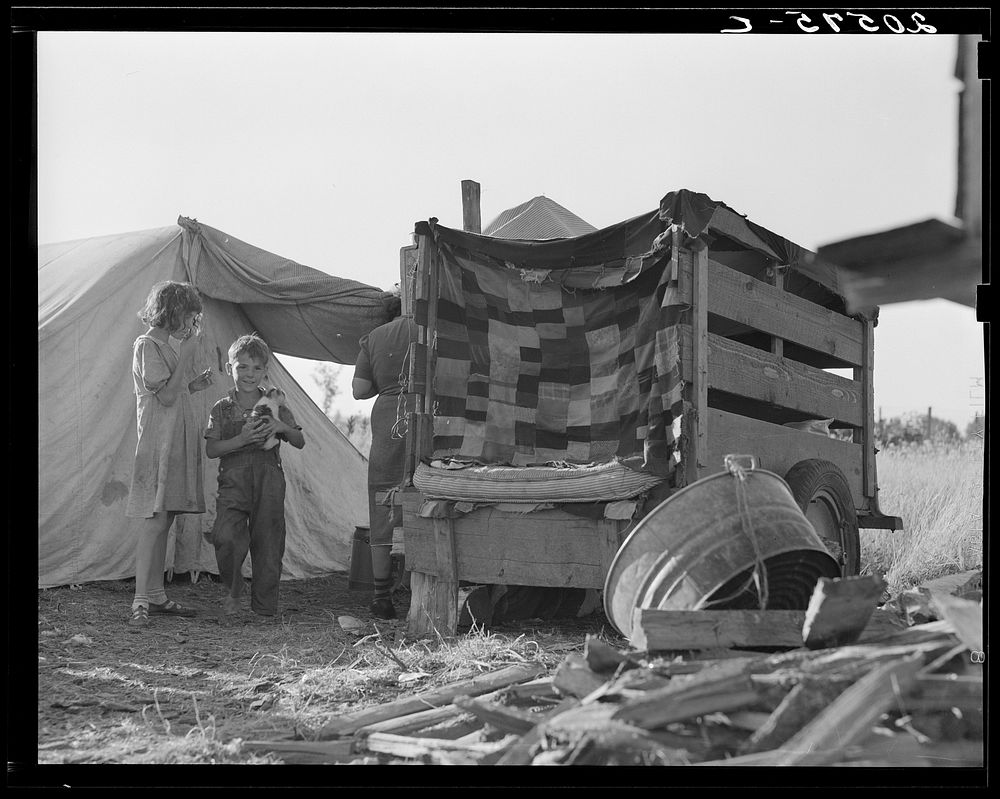 Camp of pickers during bean harvest. Oregon, Marion County, West Stayton.. Sourced from the Library of Congress.