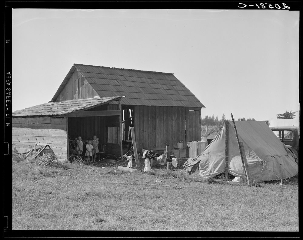 Bean pickers camp in grower's yard. No running water. Oregon, Marion County, near West Stayton, Oregon. Sourced from the…