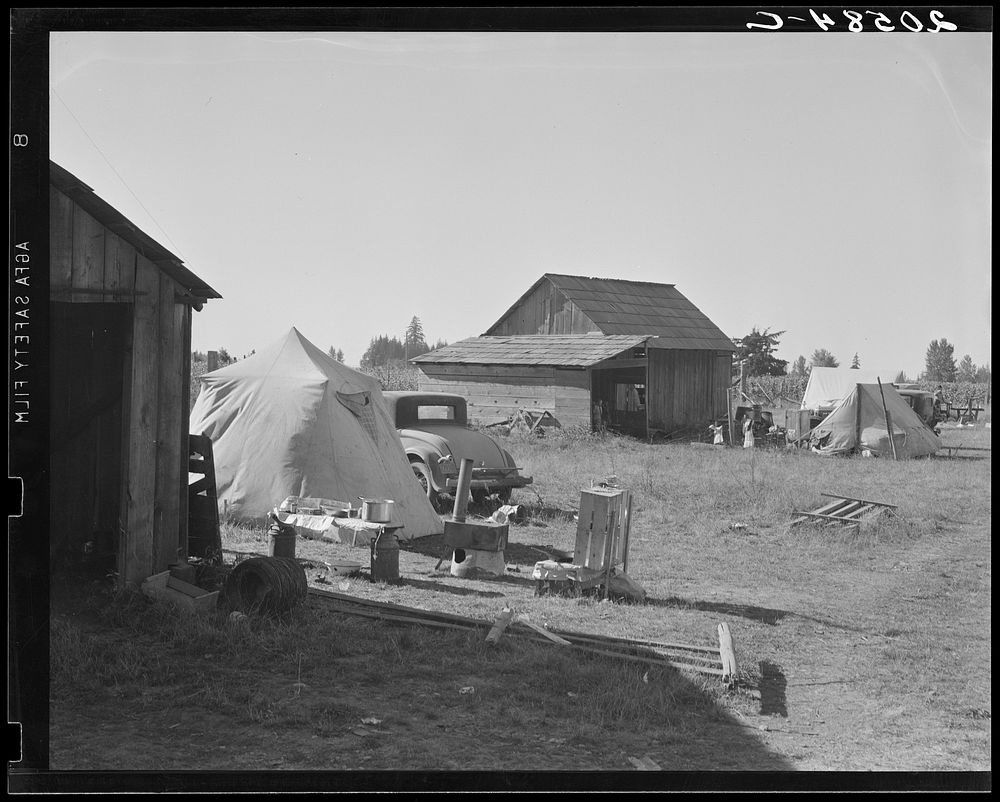Bean pickers' camp in grower's yard. No running water. Oregon, Marion County, near West Stayton.. Sourced from the Library…